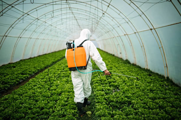 Best Commercial Pest Control Services  in Wekiwa Springs, FL