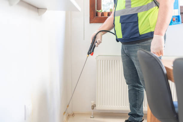 Best Termite Control Services  in Wekiwa Springs, FL
