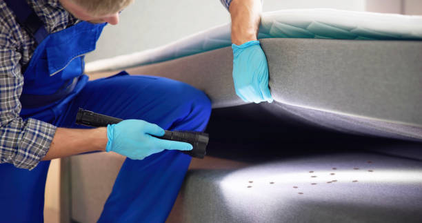 Pest Prevention Services in Wekiwa Springs, FL