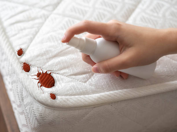 Best Emergency Pest Control  in Wekiwa Springs, FL