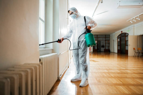 Best Affordable Pest Control Services  in Wekiwa Springs, FL