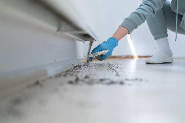 Best Best Pest Control Companies  in Wekiwa Springs, FL
