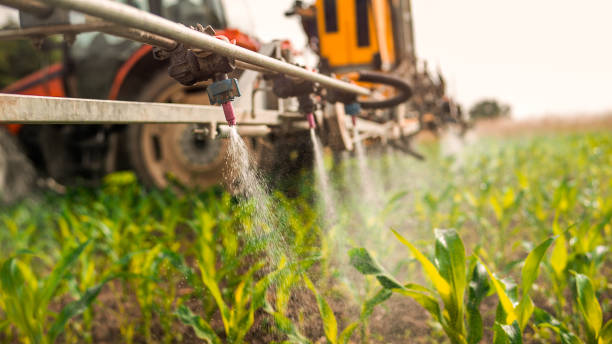 Best Commercial Pest Control Services  in Wekiwa Springs, FL